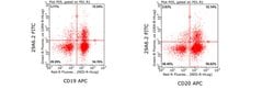 Tspan-33, Mouse anti-Mouse, Human, FITC, Clone: 29A6.2, Millipore Sigma:Antibodies:Primary